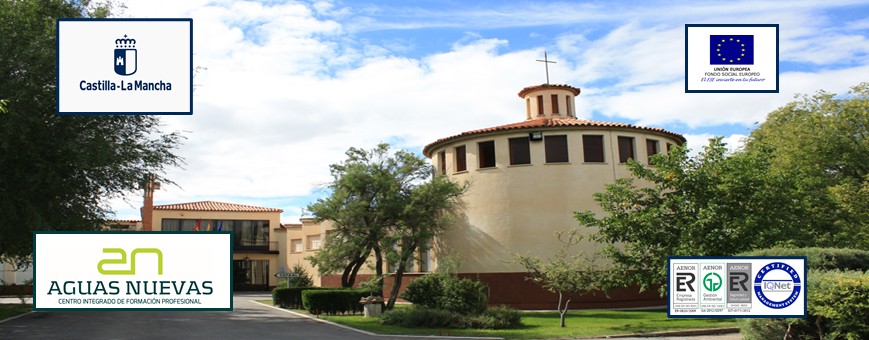Procedimientos de la Organización - Examinadores